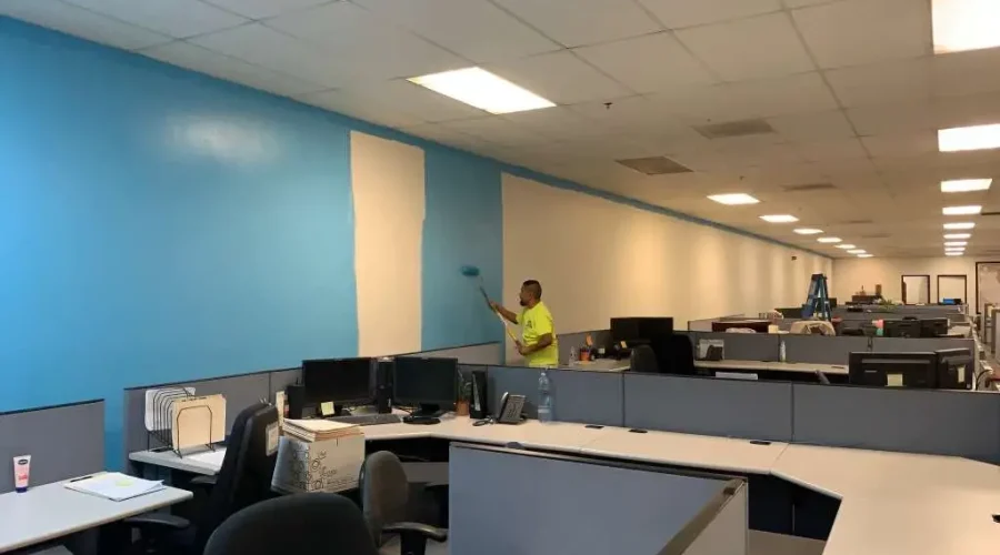 Interior and Exterior Painting (33)